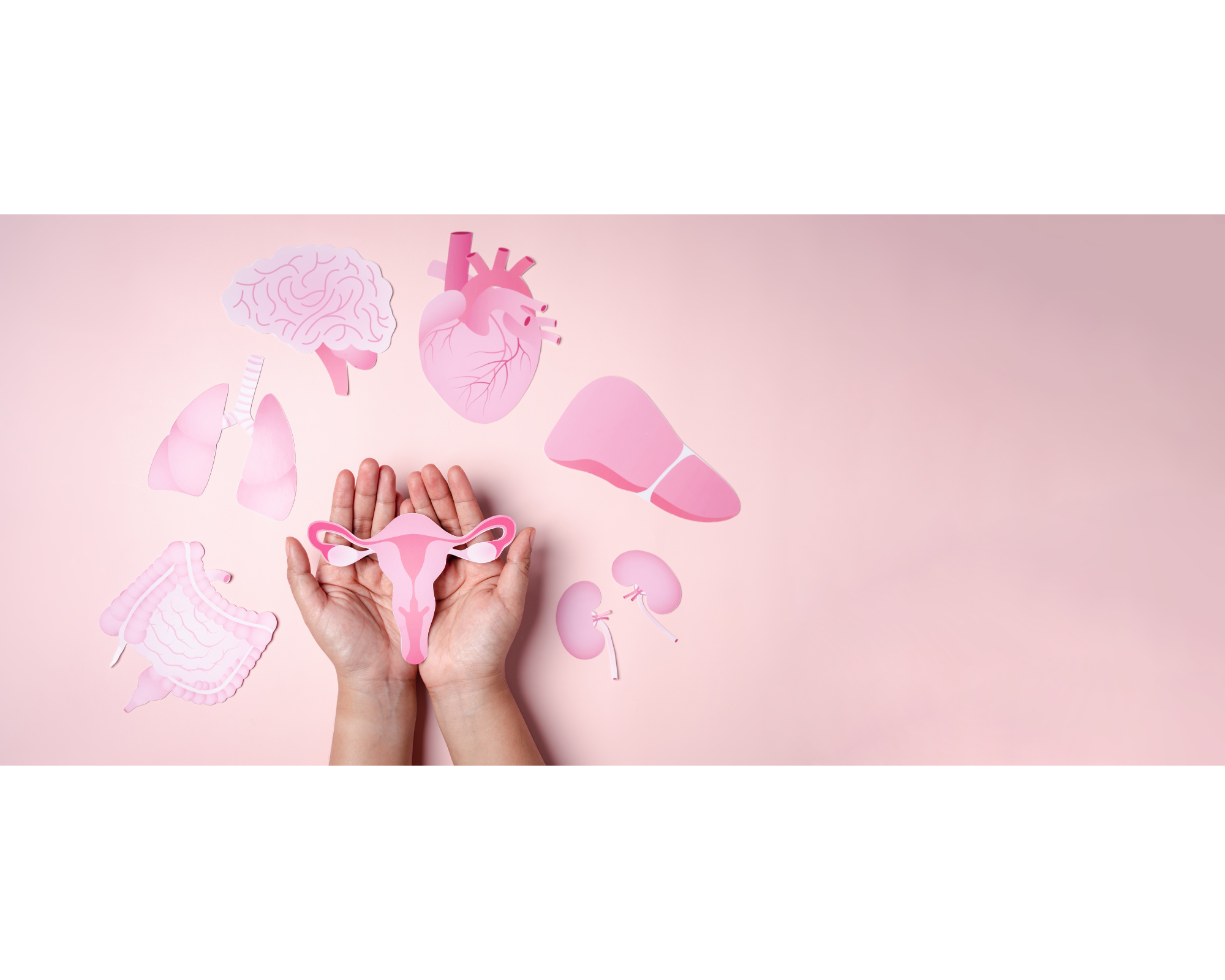 PCOS Diet: What to Eat, Best Diet Plan, and Insulin Resistance Explained