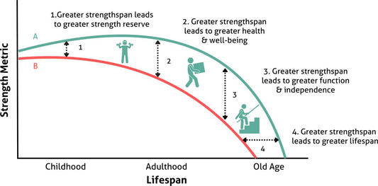 Get stronger to live longer